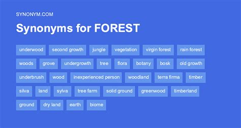 different words for forest.